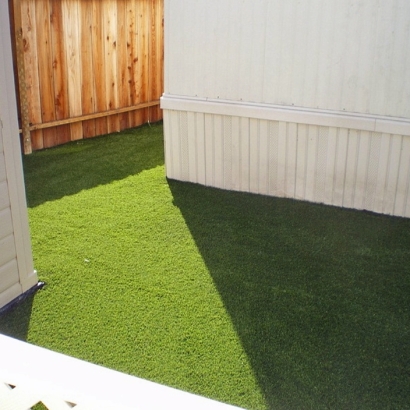 Artificial Pet Grass Dade City North Florida for Dogs