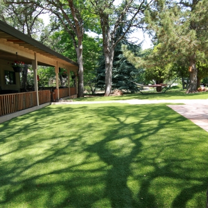 Artificial Pet Grass Geneva Florida Installation Back Yard