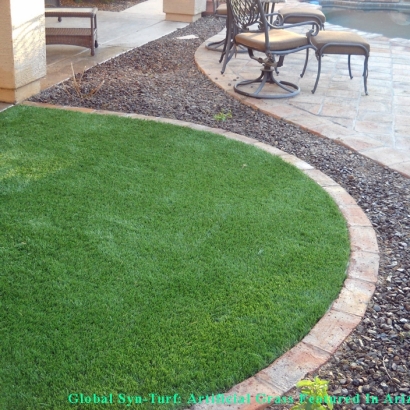 Artificial Pet Grass Pine Hills Florida for Dogs