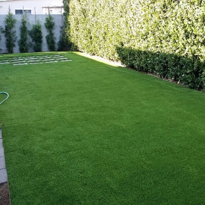 Artificial Pet Grass Pittman Florida Installation Pavers