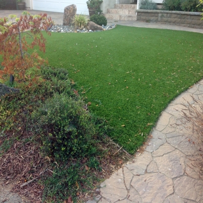 Artificial Pet Turf Alturas Florida Installation Commercial