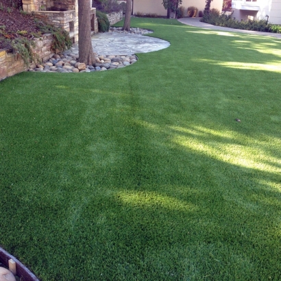 Artificial Pet Turf New Smyrna Beach Florida for Dogs Back