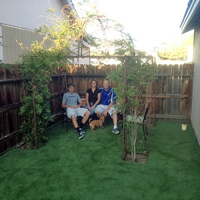 Artificial Pet Turf Wildwood Florida Installation