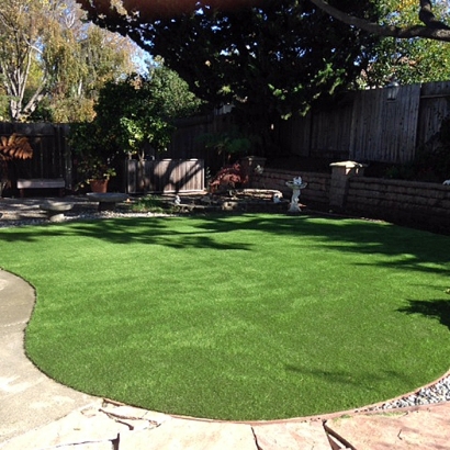 Artificial Turf Frostproof Florida Landscape