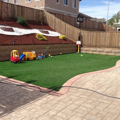 Artificial Turf Installation Bradley Junction, Florida Playground, Backyard Design