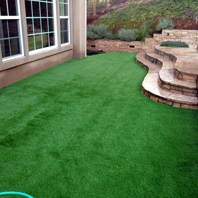 Artificial Turf Ormond Beach Florida Landscape Front Yard