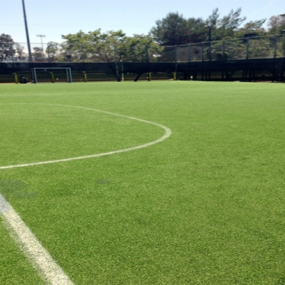 Artificial Turf Sports Casselberry Florida Back Yard