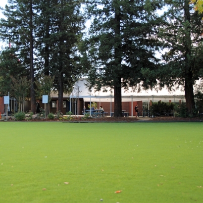 Fake Grass Babson Park Florida Kindergarten