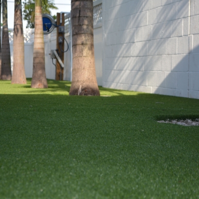 Fake Grass Carpet Malabar, Florida Landscape Ideas, Commercial Landscape