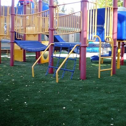 Fake Grass Dade City North Florida Playgrounds Back Yard