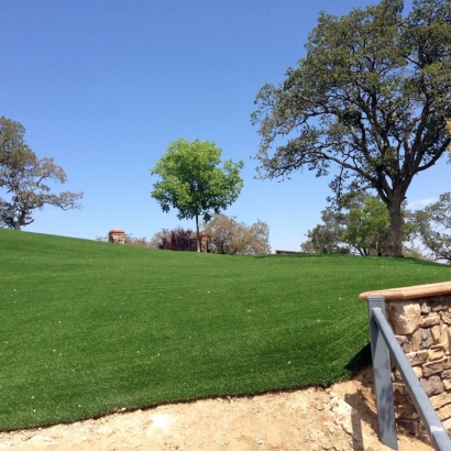 Fake Grass Hunters Creek Florida Landscape Front Yard