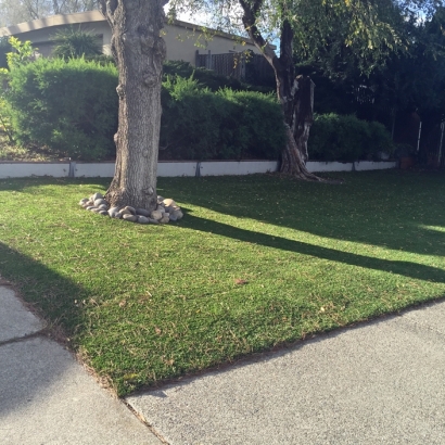 Fake Grass Indian Harbour Beach Florida Landscape