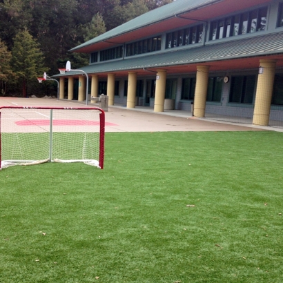 Fake Grass Sports Fields Davenport Florida Back Yard