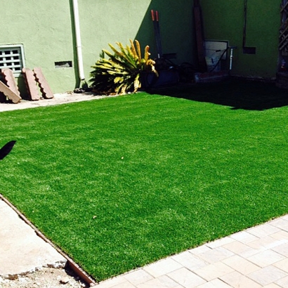 Fake Pet Grass Mims Florida Installation Back Yard