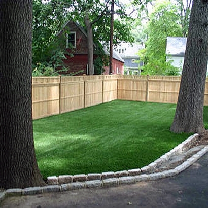 Fake Pet Turf Mascotte Florida Installation Back Yard