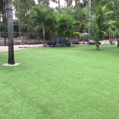 Fake Turf Brewster, Florida Landscape Ideas, Commercial Landscape