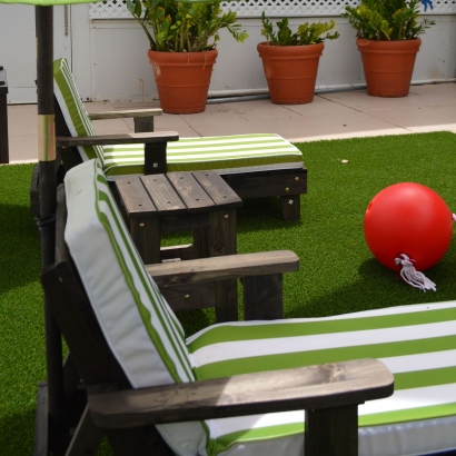 Fake Turf Orlando, Florida Landscape Ideas, Roof Top