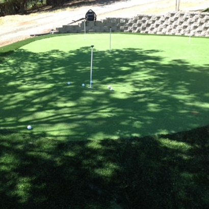Golf Putting Greens Belle Isle Florida Synthetic Turf