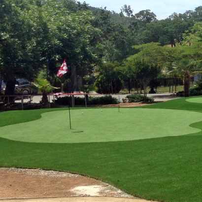 Golf Putting Greens Belleview Florida Synthetic Turf
