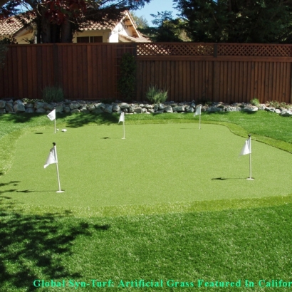 Golf Putting Greens Conway Florida Synthetic Turf