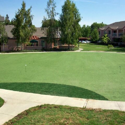 Golf Putting Greens De Land Southwest Florida Synthetic Turf