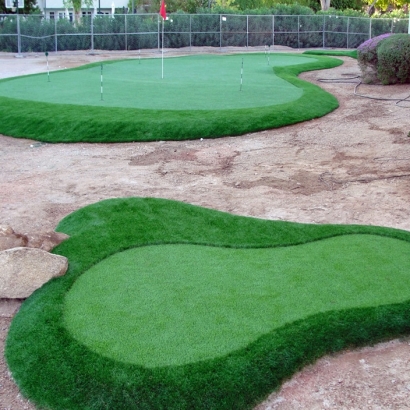 Golf Putting Greens DeBary Florida Synthetic Grass Back