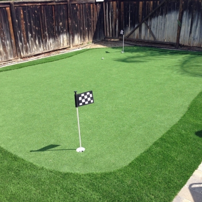 Golf Putting Greens Goldenrod Florida Synthetic Turf Dogs