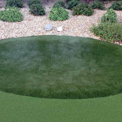 Golf Putting Greens Inwood Florida Artificial Turf