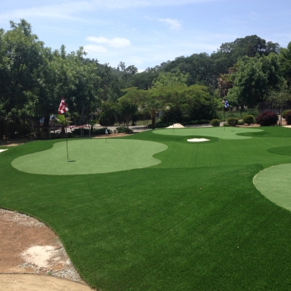 Golf Putting Greens Lake Buena Vista Florida Synthetic Turf
