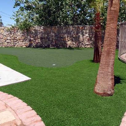 Golf Putting Greens Mims Florida Synthetic Grass Back Yard