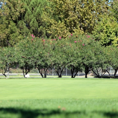 Golf Putting Greens North DeLand Florida Artificial Turf