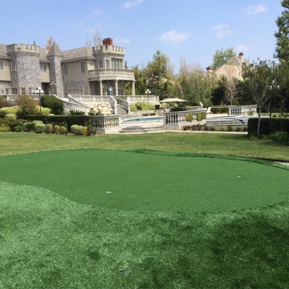 Golf Putting Greens Orlovista Florida Artificial Grass