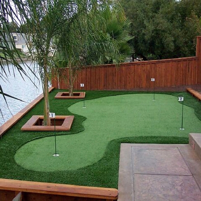 Golf Putting Greens Paisley Florida Synthetic Grass Back