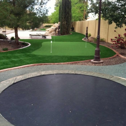 Golf Putting Greens Wedgefield Florida Artificial Grass