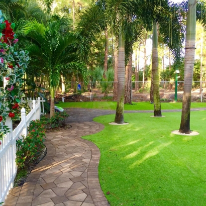 Grass Installation Pomona Park, Florida Backyard Playground, Recreational Areas