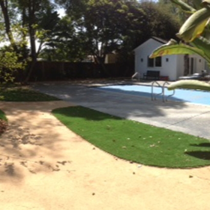 Grass Turf Fish Hawk, Florida Landscape Rock, Small Backyard Ideas