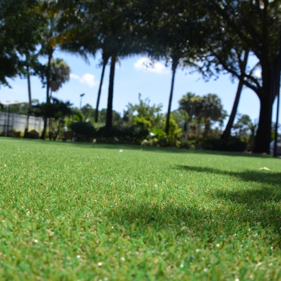 Lawn Services Fort Meade, Florida Landscaping, Parks