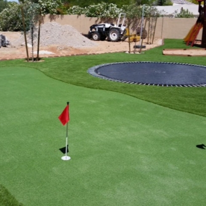 Outdoor Carpet Brandon, Florida Indoor Putting Greens, Backyard Makeover