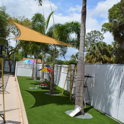 Outdoor Carpet South Brooksville, Florida Dog Run, Commercial Landscape