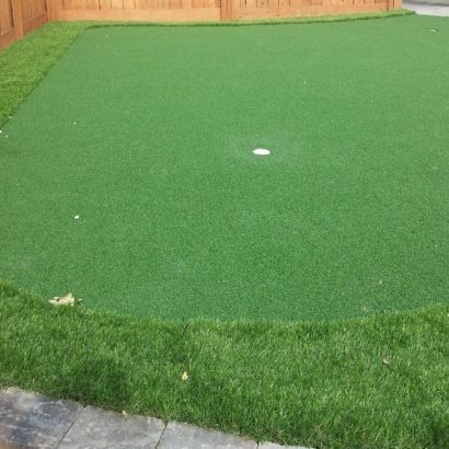 Putting Greens Alturas Florida Synthetic Grass Front Yard