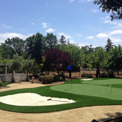 Putting Greens Casselberry Florida Synthetic Grass Back