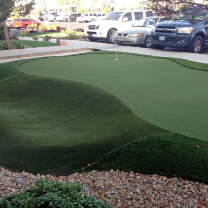 Putting Greens Jan-Phyl Village Florida Synthetic Turf Back
