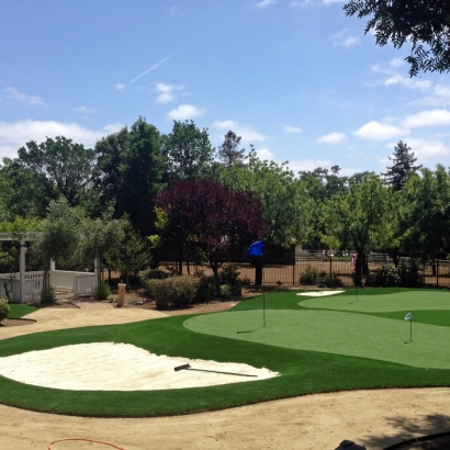 Putting Greens Palm Shores Florida Artificial Turf Front