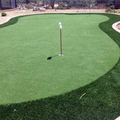 Putting Greens Port Saint John Florida Artificial Turf Back