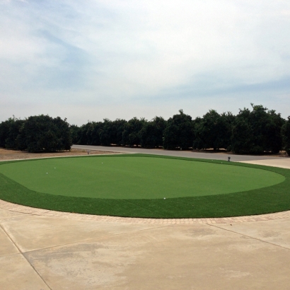 Putting Greens Silver Lake Florida Artificial Turf Back