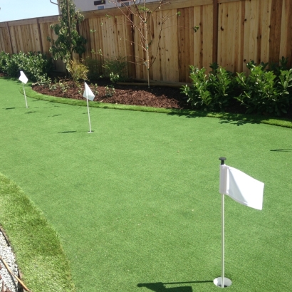 Putting Greens Tildenville Florida Artificial Grass Front