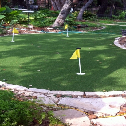 Synthetic Grass Doctor Phillips Florida Landscape