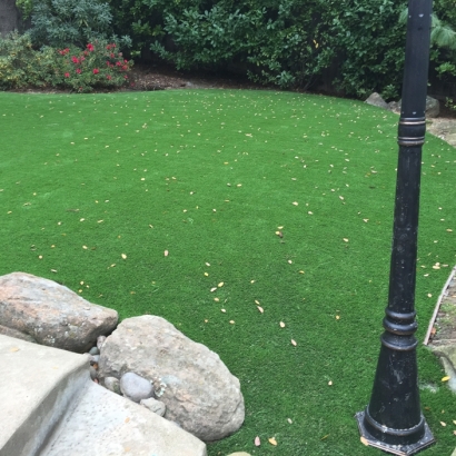 Synthetic Grass Floral City Florida Landscape