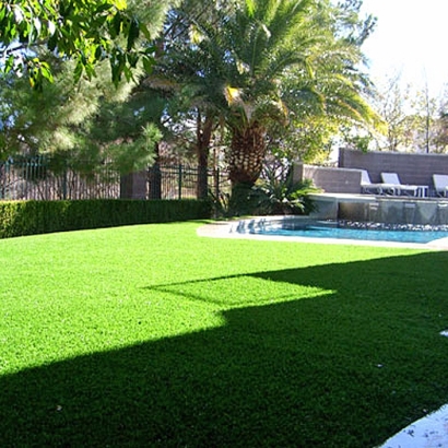 Synthetic Grass Fuller Heights Florida Lawn