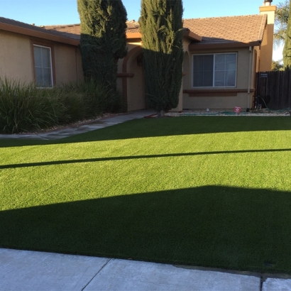 Synthetic Grass Plant City Florida Landscape